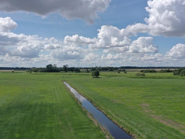 Polder Bargischow Süd Binnengraben ©LGMV