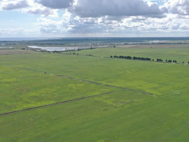 Polder Bargischow Süd Teilgebiet Maßnahmenfläche ©LGMV