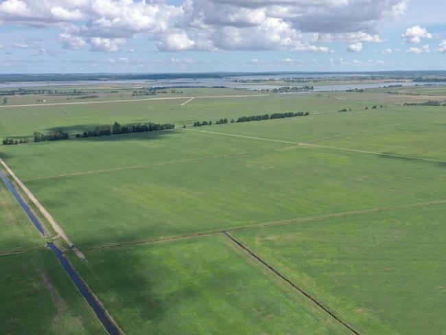 Polder Bargischow Süd Teilgebiet Maßnahmenfläche ©LGMV