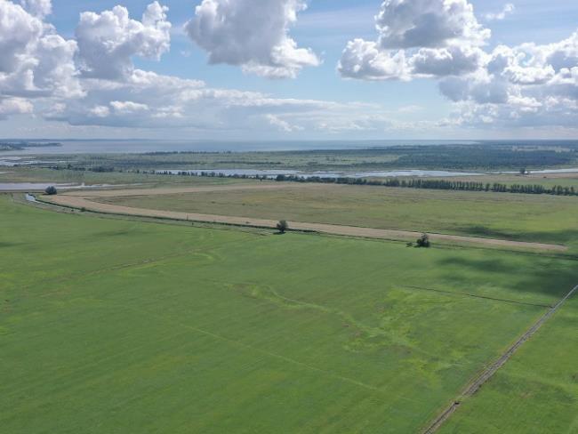 Polder Bargischow Süd Teilgebiet Maßnahmenfläche ©LGMV