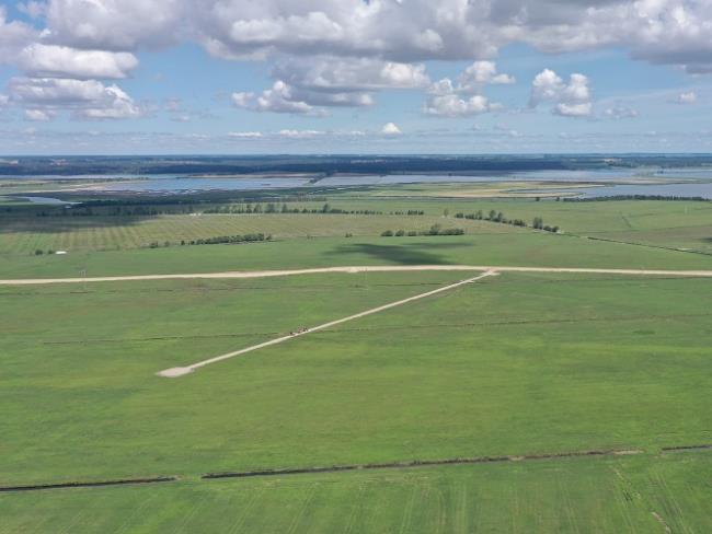 Polder Bargischow Süd Teilgebiet Maßnahmenfläche ©LGMV