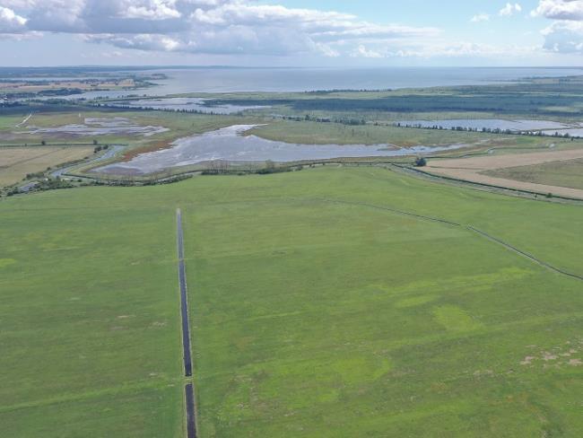 Polder Bargischow Süd Teilgebiet Maßnahmenfläche ©LGMV