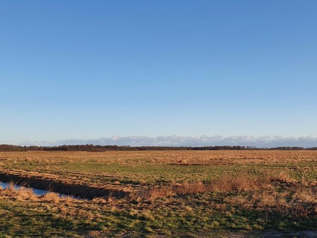 Polder Sandhagen Teilgebiet Maßnahmenfläche ©LGMV