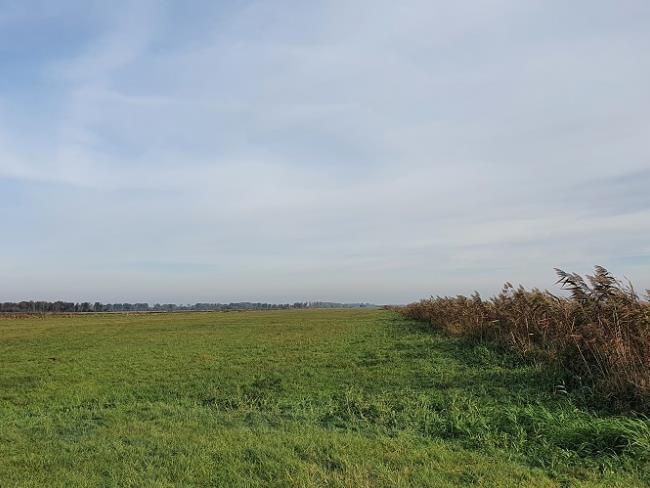 Polder Sandhagen Teilgebiet Maßnahmenfläche ©LGMV