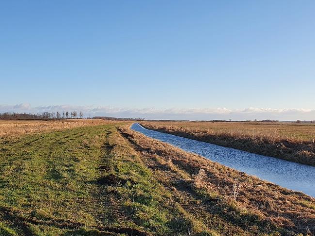 Polder Sandhagen Deich zwischen Landgraben und Deichfußgraben ©LGMV