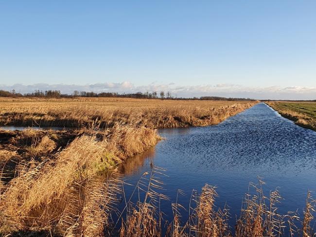 Polder Sandhagen Schöpfwerksgraben ©LGMV