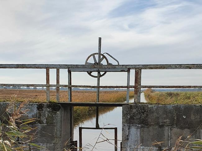 Polder Sandhagen Stau im Schöpfwerksgraben (altbestand) ©LGMV