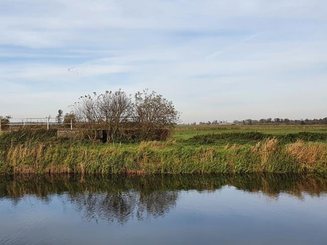 An Maßnahmenfläche angrenzende Fläche nördlich des Landgrabens ©LGMV